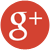 Google +