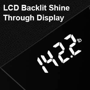 large backlit LCD display